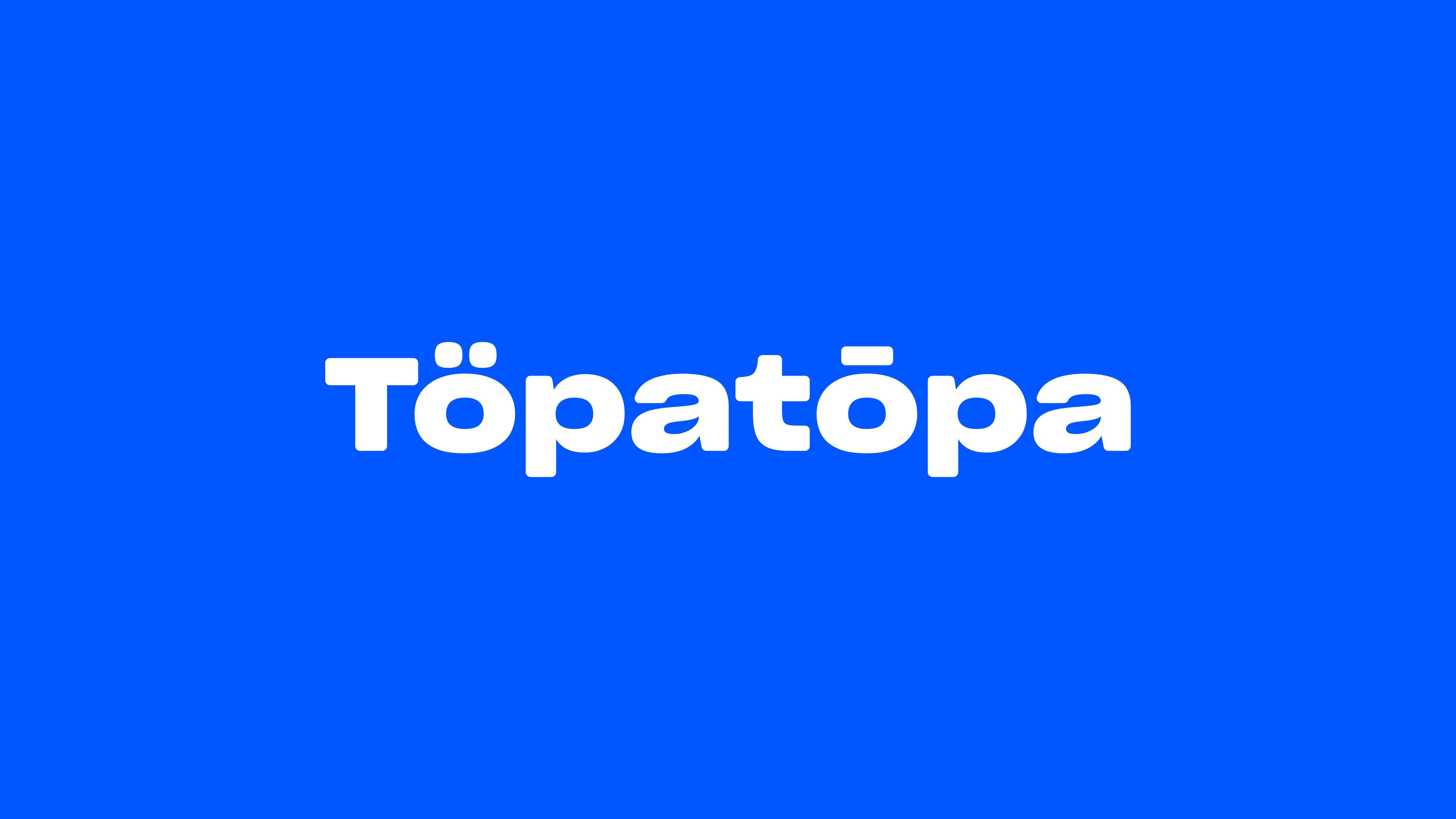 2022.03.10 Topatopa提案_16.jpg